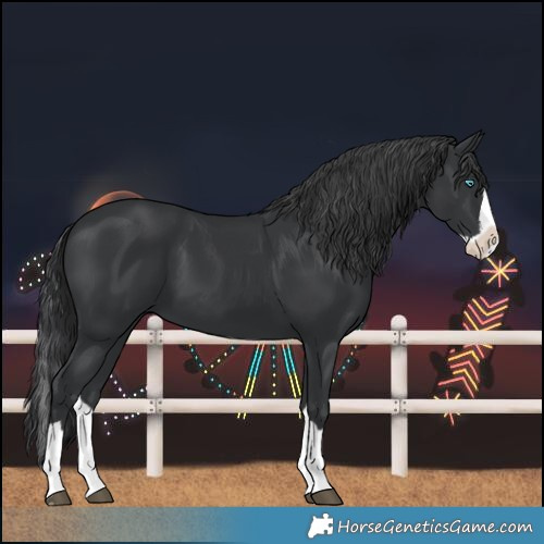 Horse Color:Black Splash 