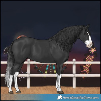 Horse Color:Black Splash