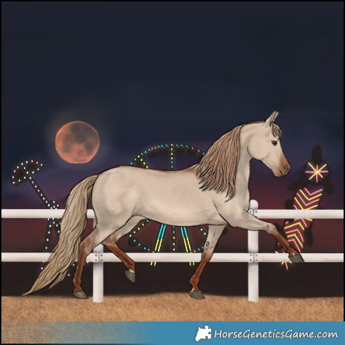 Horse Color:Red Dun 