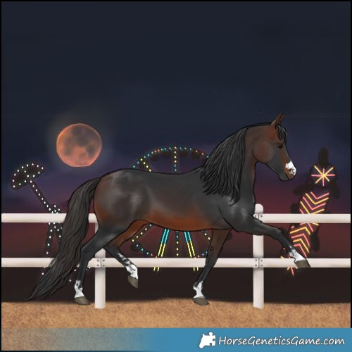 Horse Color:Brown 