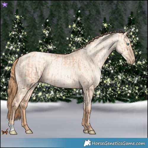Horse Color:Gold Champagne Pearl Rabicano and Gold Champagne Pearl Dun Rabicano