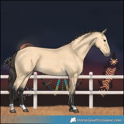 Horse Color:Unknown 