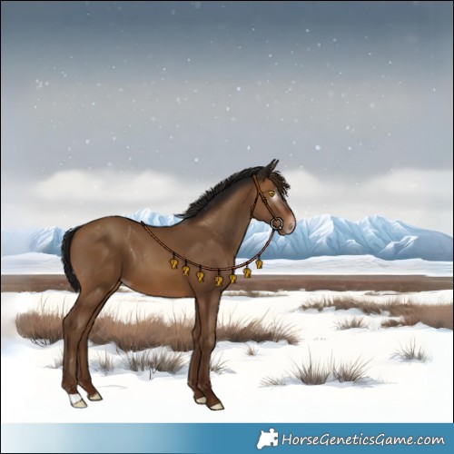 Horse Color:Gray Amber Champagne