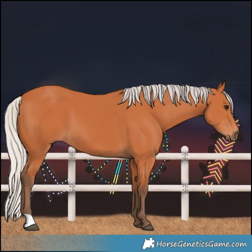 Horse Color:Silver Bay 