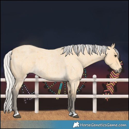 Horse Color:Silver Buckskin Roan