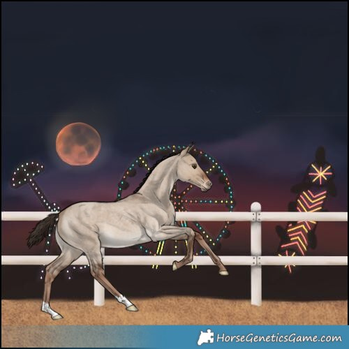 Horse Color:Liver Red Dun Roan 