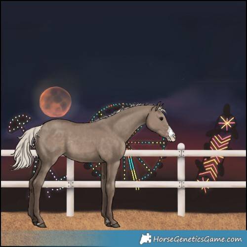 Horse Color:Silver Grullo Sabino Rabicano 