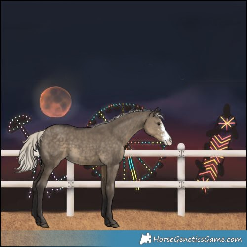Horse Color:Silver Smoky Grullo Sabino Rabicano 