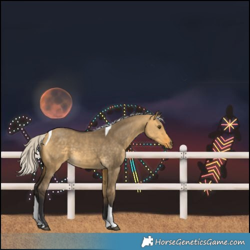 Horse Color:Silver Buckskin Dun Tobiano Rabicano