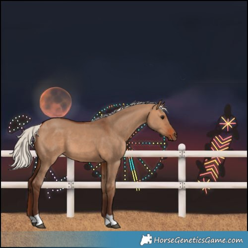 Horse Color:Silver Brown Dun Tobiano Rabicano 