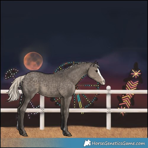 Horse Color:Silver Smoky Grullo Sabino Splash Rabicano 