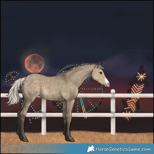 Horse Color:Silver Smoky Grullo Sabino Rabicano 
