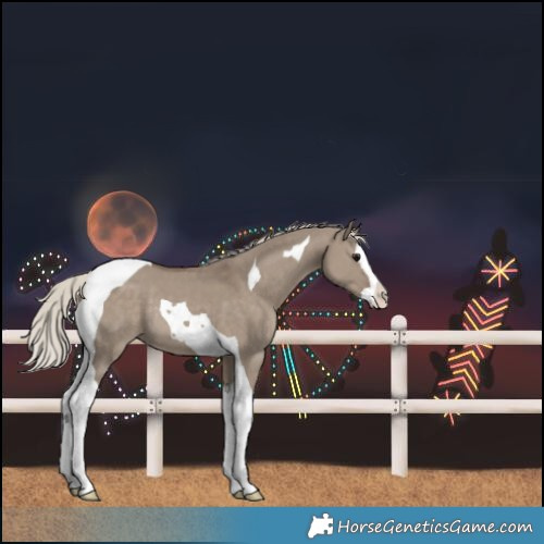 Horse Color:Silver Grullo Splash Tobiano Rabicano 