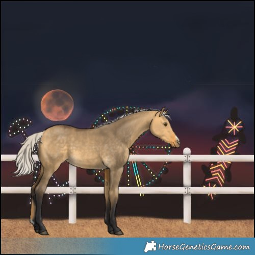 Horse Color:Silver Buckskin Dun Sabino Rabicano