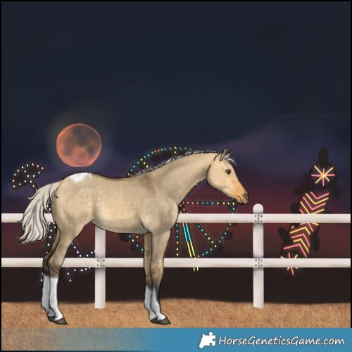 Horse Color:Silver Buckskin Dun Tobiano Rabicano 