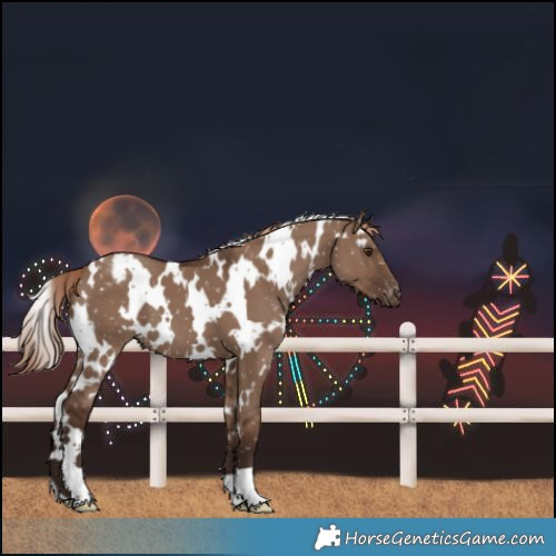 Horse Color:White Spotted Liver Red Dun Snowflake Varnish