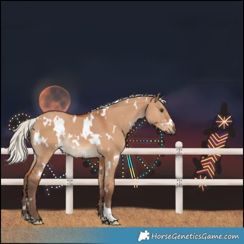 Horse Color:White Spotted Silver Bay Dun Rabicano 