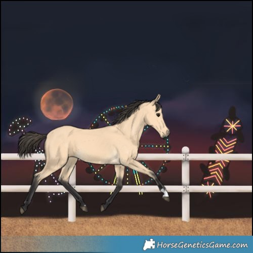 Horse Color:Buckskin 