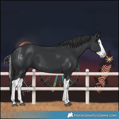 Horse Color:Black Splash 