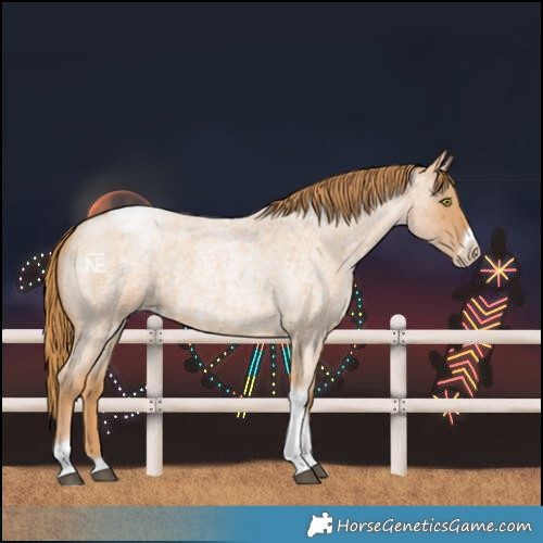 Horse Color:Red Roan Pearl Tobiano Frame 