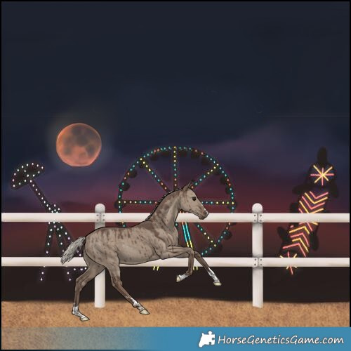 Horse Color:Silver Grullo Brindle