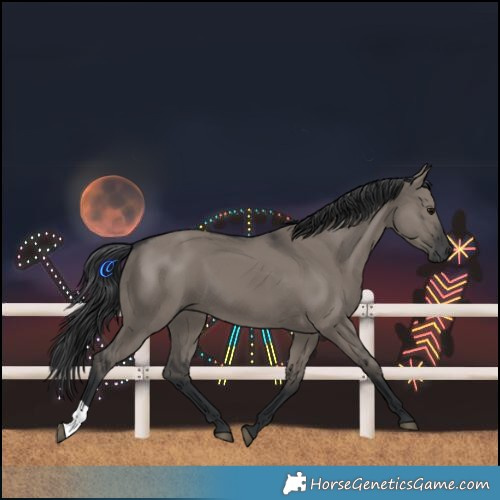 Horse Color:Grullo