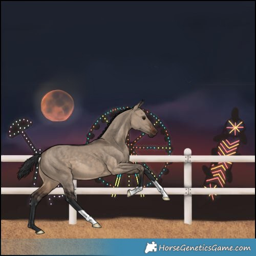 Horse Color:Brown Dun