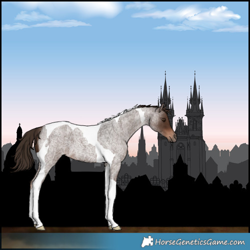 Horse Color:Liver Red Roan Tobiano 
