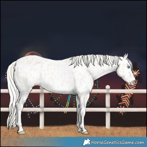 Horse Color:Cremello Near Leopard