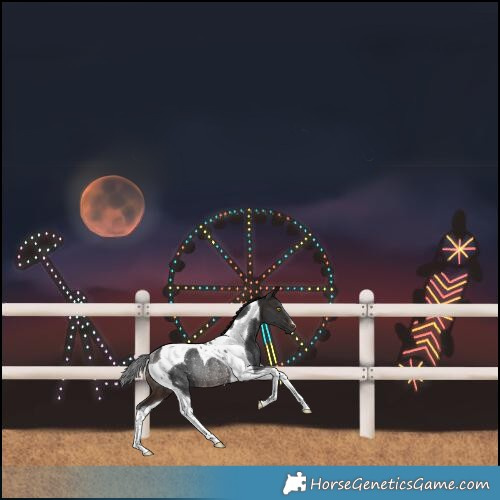 Horse Color:Brown Tobiano Rabicano 