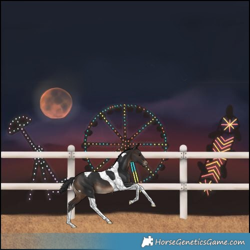 Horse Color:Brown Tobiano 