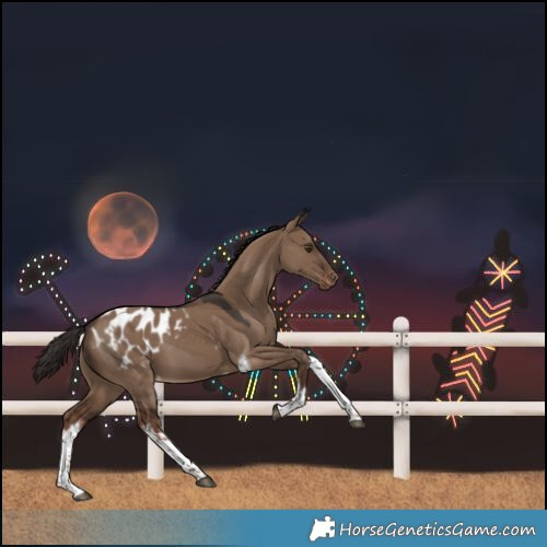 Horse Color:White Spotted Liver Red Dun Tobiano Blanket