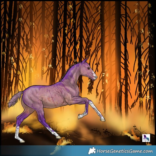 Horse Color:Watercolor Liver Red Dun Brindle 