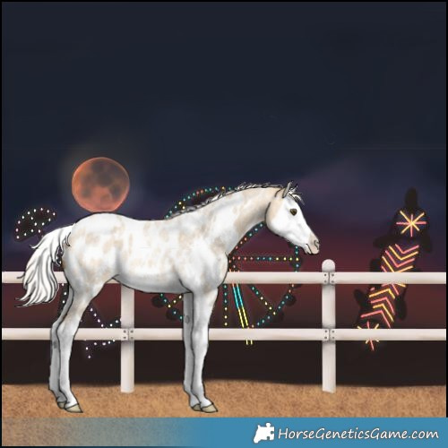Horse Color:White Spotted Silver Buckskin Roan Dun Splash Blanket Rabicano 