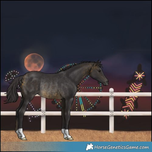 Horse Color:Buckskin Rabicano