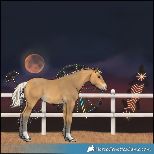 Horse Color:Silver Buckskin Rabicano 