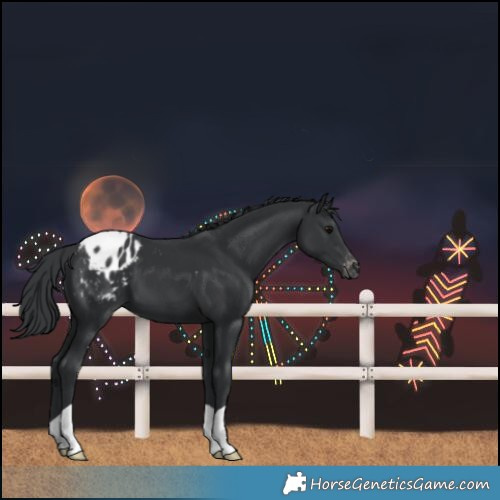 Horse Color:Black Varnish