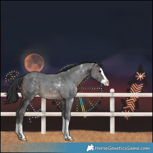 Horse Color:Brown Splash
