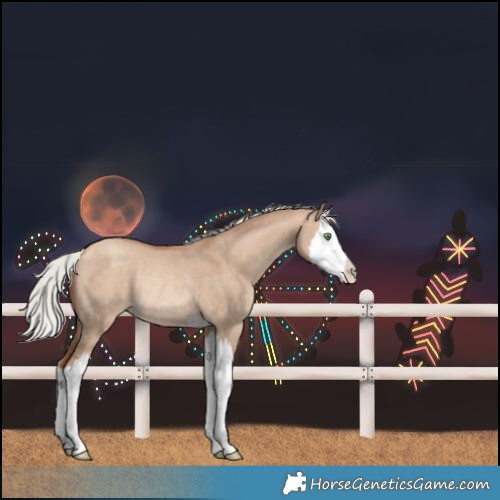 Horse Color:Silver Sable Champagne Dun Splash Rabicano 