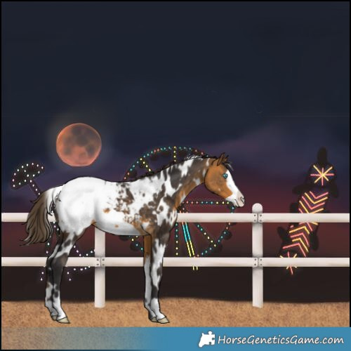 Horse Color:White Spotted Buckskin Frame Varnish 