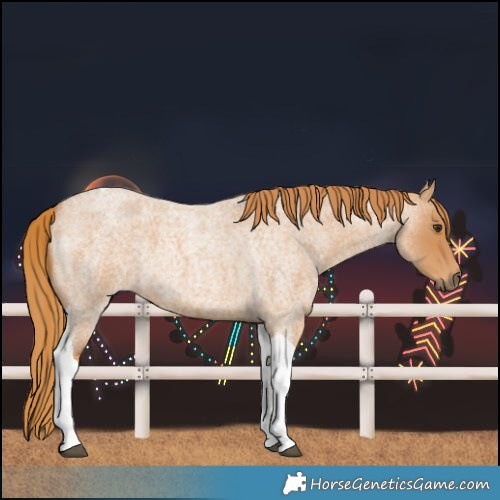 Horse Color:Red Roan Tobiano 