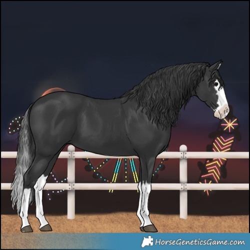 Horse Color:Black Splash