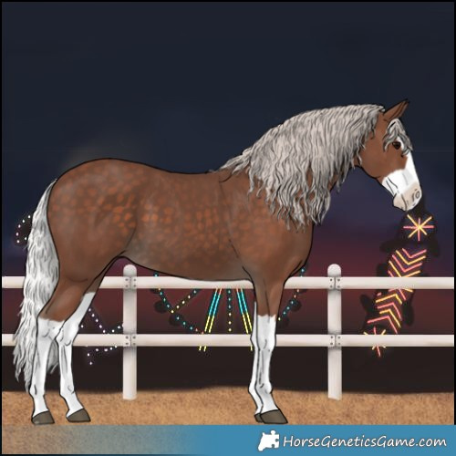 Horse Color:Silver Black Splash 