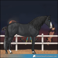 Horse Color:Black Splash 