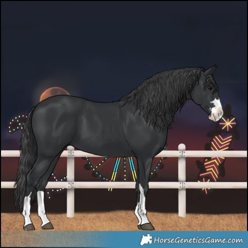Horse Color:Black Splash 