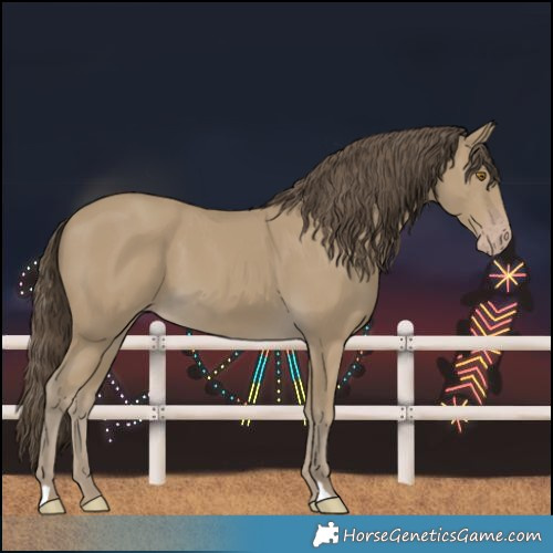 Horse Color:Classic Cream Champagne