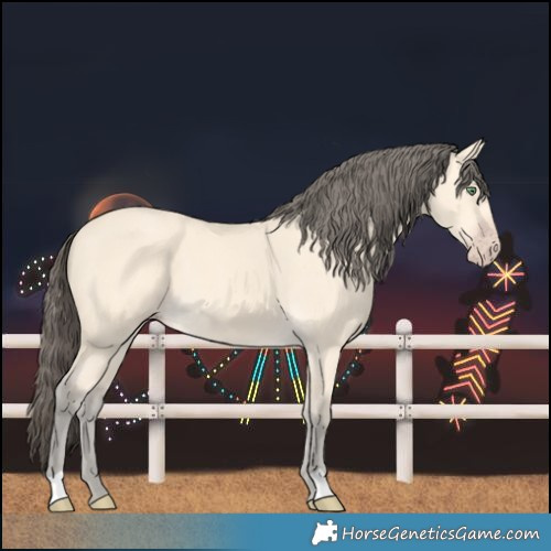 Horse Color:Amber Cream Champagne