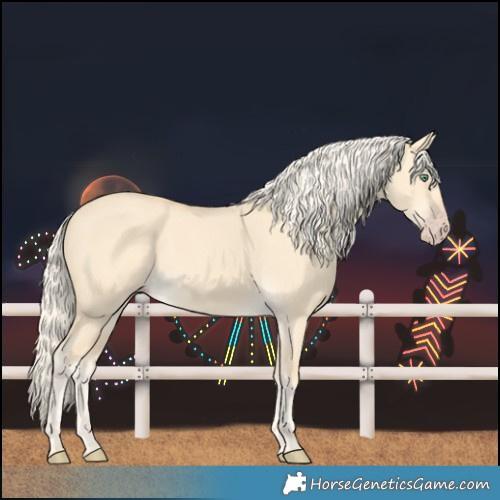 Horse Color:Gold Cream Champagne Dun 