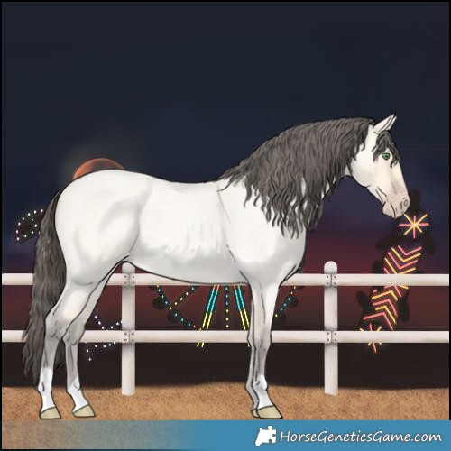 Horse Color:Amber Cream Champagne Roan 