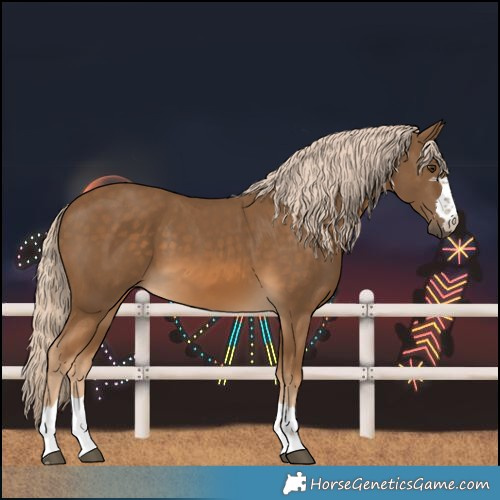 Horse Color:Chocolate Palomino 